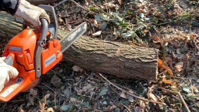 Muore mentre taglia la legna davanti casa