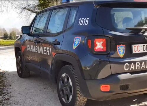 I carabinieri forestali sequestrano 15 quintali di carne suina e salumi