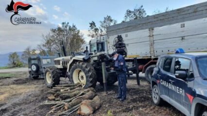 Tragedia nel beneventano, trattore contro albero muore agricoltore