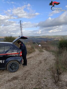 Doppio sequestro dei carabinieri forestali in provincia di Benevento