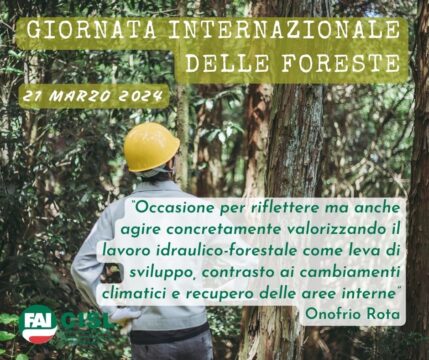 Oggi si celebra la giornata internazionale delle Foreste