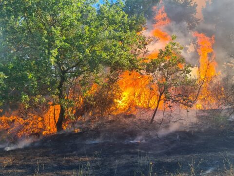 Continua la lotta contro gli incendi boschivi