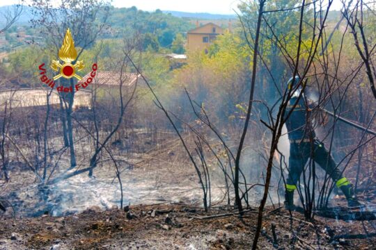 L’Irpinia brucia. più di 40 interventi per i vigili del fuoco