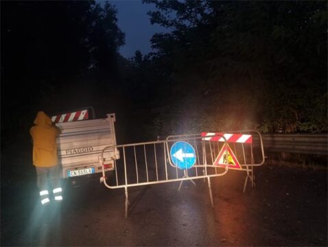 Valle Caudina: cade un albero lungo la strada per Avellino