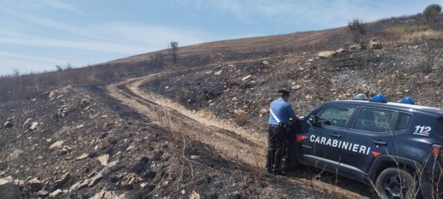 82enne fermato mentre dava fuoco a delle sterpaglie