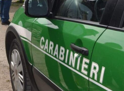 Imprenditore denunciato per gestione illecita dei rifiuti