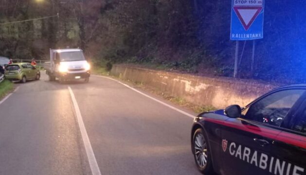 60enne ferita nello scontro tra un furgone ed un’auto