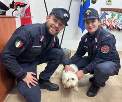 I carabinieri forestali restituiscono alla proprietaria una cucciola maltese