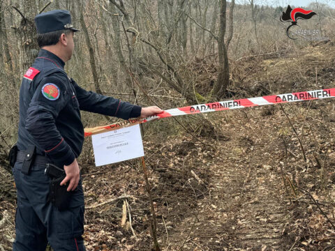 65enne denunciato per l’estirpazione di piante in area vincolata