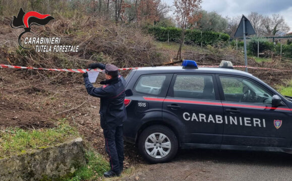 Distruzione e deturpamento di bellezze naturali: i Carabinieri denunciano la proprietaria del terreno