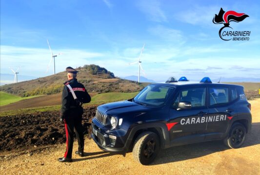 Carabinieri in campo contro truffe e furti