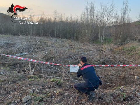 I carabinieri sequestrano un’area boschiva e denunciano due persone