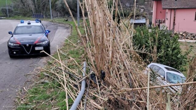 Auto sfonda il guardarail e abbatte palo della pubblica illuminazione