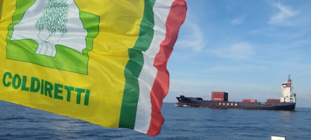 Blitz di Coldiretti Campania contro l’arrivo di uva e verdura dall’Africa Blitz di Coldiretti Campania contro l’arrivo di uva e verdura dall’Africa