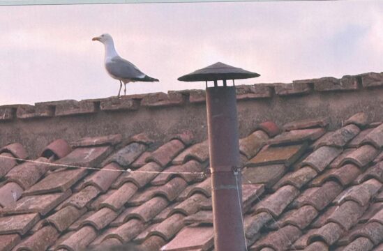 Fumata bianca, eletto il nuovo Papa