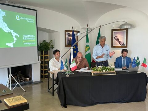 Confagricoltura Campania approva il bilancio consuntivo Confagricoltura Campania approva il bilancio consuntivo