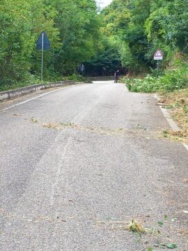 Cervinara: manutenzione verde Via Coppola, i ringraziamenti dell’amministrazione alla comunità montana Cervinara: manutenzione verde Via Coppola, i ringraziamenti dell’amministrazione alla comunità montana