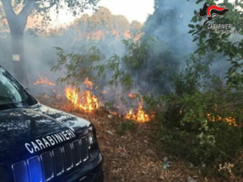Quattro persone denunciate nell’ambito della lotta agli incendi boschivi Quattro persone denunciate nell’ambito della lotta agli incendi boschivi