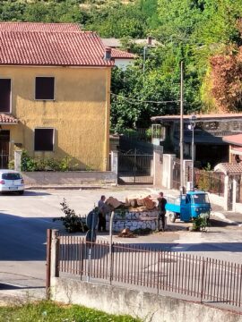 Cervinara: abbattuto il tiglio di San Potito e tutti i suoi ricordi Cervinara: abbattuto il tiglio di San Potito e tutti i suoi ricordi