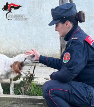 Fanno morire di fame e sete tre cani Fanno morire di fame e sete tre cani