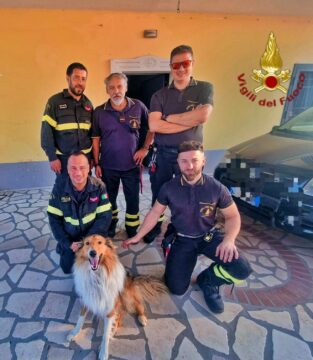 Cane incastrato tra le inferriate salvato dai vigili del fuoco