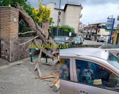 Cervinara:  albero si abbatte su un’auto a causa del vento forte