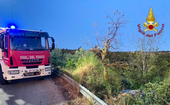 Auto in una scarpata nella notte,muore 44enne Auto in una scarpata nella notte,muore 44enne