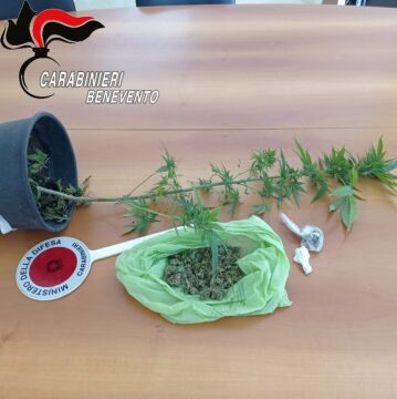 56enne di San Leucio del Sannio denunciato per possesso di droga