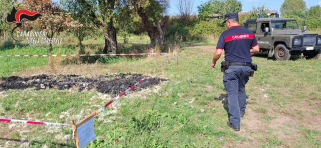 Valle Caudina: individuato e denunciato l’autore di un incendio di rifiuti speciali