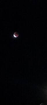 Una luna rosso sangue specchio dell’umana disperazione Una luna rosso sangue specchio dell’umana disperazione