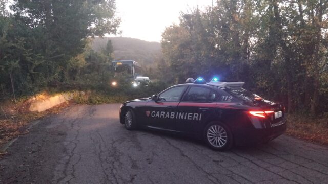 Il forte vento abbatte un albero sulla provinciale Il forte vento abbatte un albero sulla provinciale