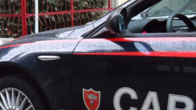 Una donna aveva realizzato una serra artigianale per la coltivazione di cannabis