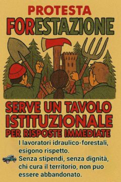 Le organizzazioni sindacali chiedono al prefetto un tavolo urgente sulla forestazione Le organizzazioni sindacali chiedono al prefetto un tavolo urgente sulla forestazione