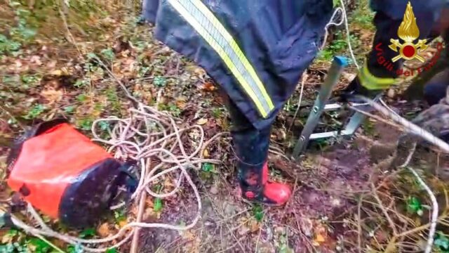 I vigili del fuoco salvano un cane precipitato in un pozzo