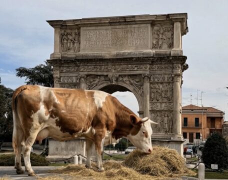 Una vacca sotto l’Arco di Traiano: il video shock che annuncia l’apertura di Gustagricolo