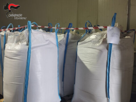 I carabinieri sequestrano 400 tonnellate di farine di origine animali