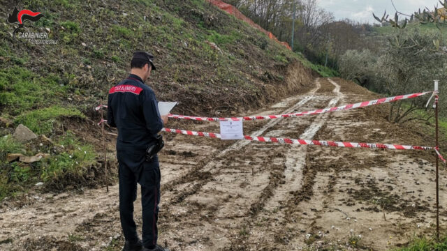 Tre persone denunciate per la realizzazione di una strada all’interno di un uliveto