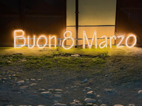 Rotondi si illumina per l’8 marzo: mimose di luce e un convegno per il potere decisionale femminile