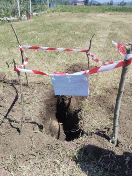 Ordigno della Seconda Guerra Mondiale rinvenuto nel Casertano