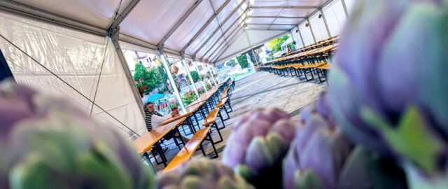 Tutto pronto per la sagra del carciofo a Pietrelcina