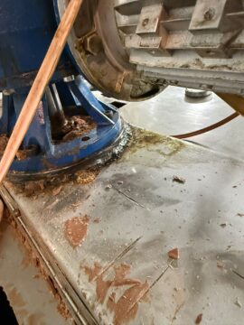 Valle Caudina: alunni in visita ad una fabbrica di cioccolato trovano vermi all’interno delle uova di Pasqua