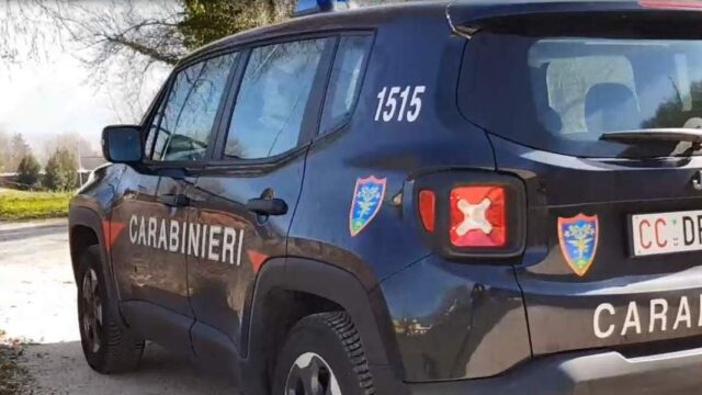 50enne denunciato per furto di piante