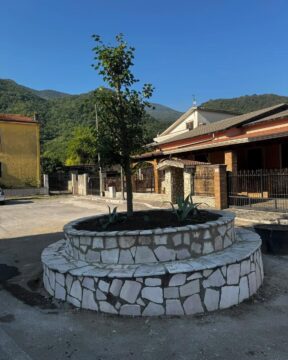 Cervinara: San Potito ha un nuovo tiglio
