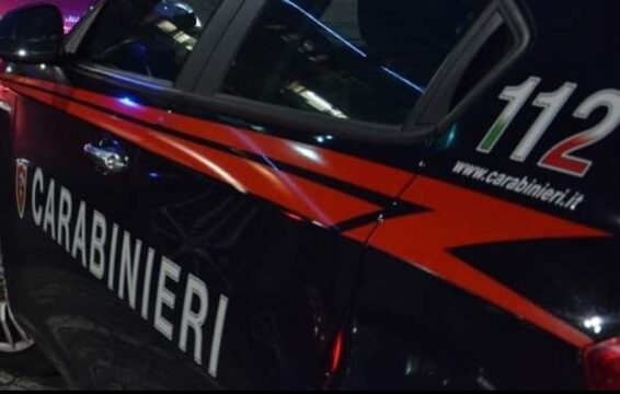 80enne perde la vita nell’azienda di un familiare