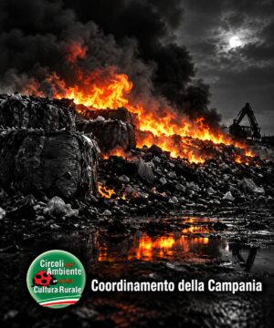 Valle Caudina: il rogo di Airola e le similitudini con quelli di Sparanise e Gigliano