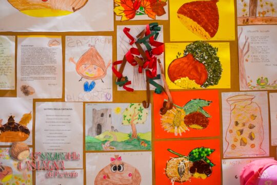 Cervinara: la scuola protagonista della Sagra della Castagna del Partenio